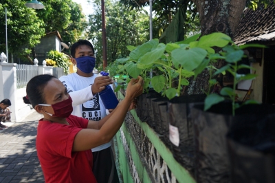 Bercocok Tanam jadi Sebuah Terapi bagi Dika